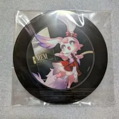崩壊スターレイル　LIVE　ライブ　レコードアクリル　ミュリオン