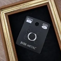 Item thumbnail for item 154c1e02-84b2-4b46-89e4-5262f7d2600a