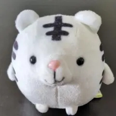 Item thumbnail for item 56f60432-eaa2-40b0-a28d-a329af0cab2b