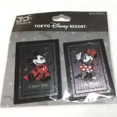 缶バッジセット　ミッキー　ミニー　30周年　東京ディズニーリゾート
