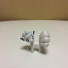ポケモン　アローラロコン