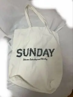 Item thumbnail for item 93e11375-0a3b-4263-975c-9b17bc0f5a4a