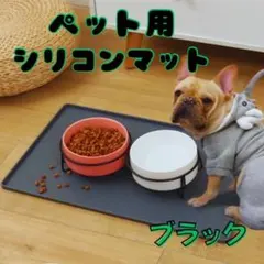 Item thumbnail for item d1bbeea5-bc68-49c5-a325-54a0e4da6b2c