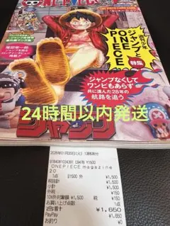 ONE PIECE magazine 20号 ワンピースマガジン 付録 未開封