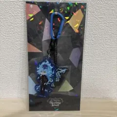 ツイステ ブレイジングジュエル アクリルチャーム イデア