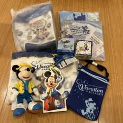 ディズニー　バケーションパッケージ　グッズセット
