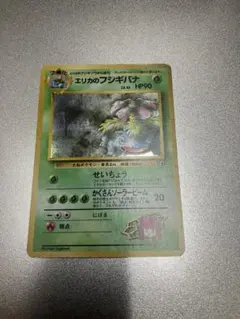 《美品》旧裏エリカのフシギバナ