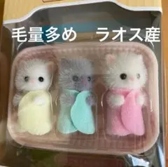 シルバニア　ペルシャネコのみつごちゃん　ペルシャネコの小さい赤ちゃん　ラオス産