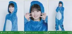 乃木坂46 池田瑛紗 生写真 コンプ 福井県 ver 恐竜 真夏の全国ツアー
