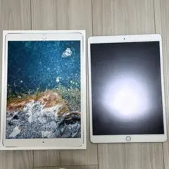 iPadPro 10.5インチ