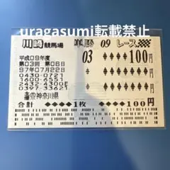 現地購入的中単勝馬券【1997エンプレス杯】シルクフェニックス