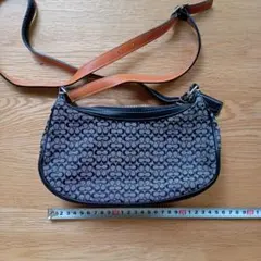 最終価格！COACH F14198オプティックシグネチャー ショルダーバッグ 