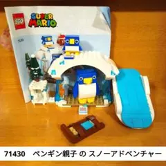 レゴマリオ　ペンギン親子 の スノーアドベンチャー