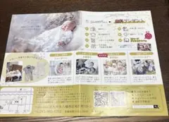 Item thumbnail for item 7b0f241d-f1db-4593-8ff6-173fe2ca9d32