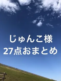 じゅんこ様　27点おまとめページ