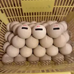 ソフトテニスボール アカエム