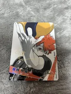 ハイキュー‼︎ バボカ BREAK 原作者サイン入り 極 日向翔陽