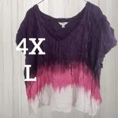 terra&Sky グラデーション Vネック Tシャツ 【4XL】