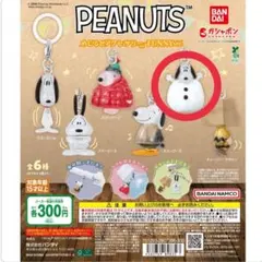 PEANUTS めじるしアクセサリーFUNNY ver.