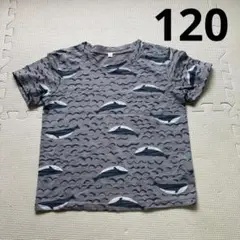 海デザイン半袖Tシャツ 120サイズ