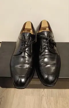 の*ん様 SCOTCH GRAIN スコッチグレイン Uチップ 25センチのサムネイル