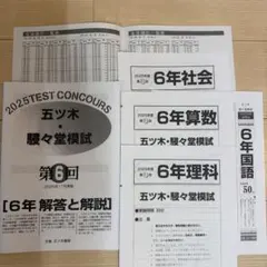 五木模試 五ツ木模試 駸々堂 五ツ木駸々堂模試 第6回 中学受験 小6 5年分 五木模試 五ツ木模試 駸々堂テスト 2023年 第6回中学受験 小6 - メルカリ