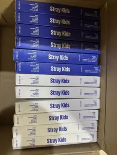 【新品】straykids KARMA 12枚セット ＋トレカセット