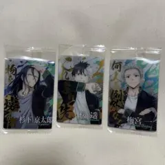 windbreaker ウエハース　カード　桜遥　梅宮一　杉下京太郎