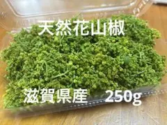 【天然 花山椒 100g】滋賀県産 期間限定】花山椒100g 京都産 日時指定不可 | 根蕈果konshinka