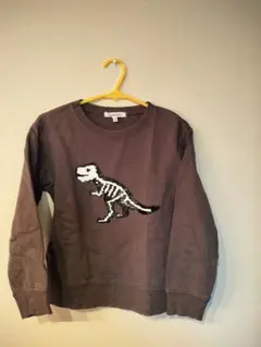 スパンコール 恐竜