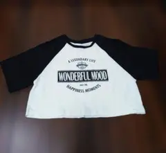 Dazy クロップドTシャツ Sサイズ ホワイト/ブラック