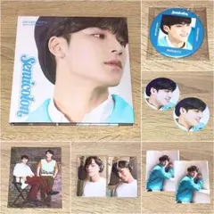 SEVENTEEN ミンギュ Semicolon フォトブック トレカ 缶バッジ