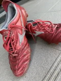 Item thumbnail for item a5436141-46dd-45cf-91b4-b447652da4ed