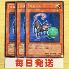 遊戯王　魔轟神獣キャシー DT字レア　3枚 ピヴォ