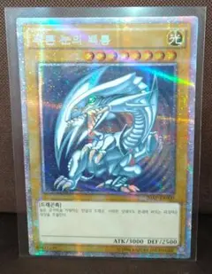 青眼の白龍 遊戯王OCG デュエルモンスターズ(外国語版)