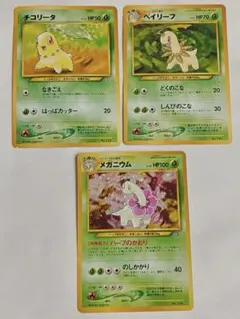 旧裏】メガニウム 進化ライン プレミアムファイル PROMO マークなし