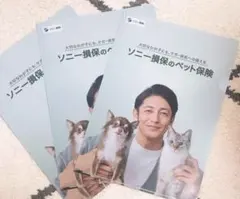 Item thumbnail for item 50c1ab9d-d073-4a0f-9bad-e9fc0bc42c97