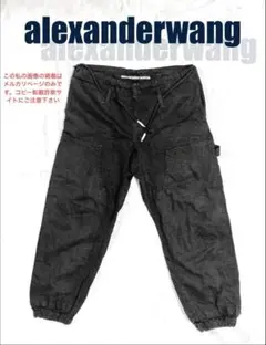 2026年最新】Alexander Wang メンズ ワークパンツ・カーゴパンツ