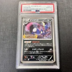 2025年最新】ゲッコウガ XY-P リザードンメガバトルの人気