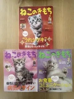 雑誌 ねこのきもち 2013年4月5月6月号のサムネイル