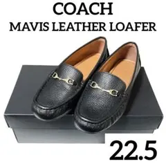 Item thumbnail for item 467a5655-19e2-45a8-b73d-b83c7ee3b4ef