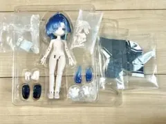 COME4FREE ボニバニ3「気象星語」 オーロラ