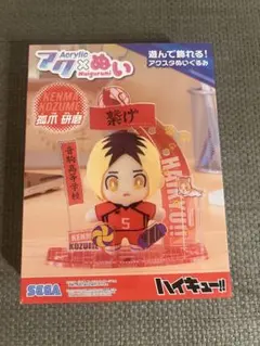 ハイキュー　アクぬい　孤爪研磨　アベイル