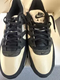 Nike Air Max ベージュ ブラック ゴールド