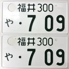希少】2桁ナンバープレート 二桁 2ケタ 記念 キリ番 5000 2枚 当時物