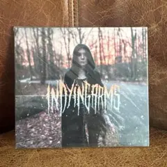 In Dying Arms – In Dying Arms 未開封 CD