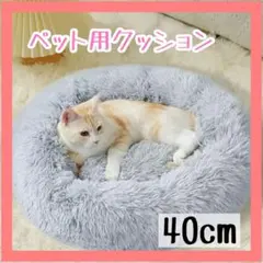 Item thumbnail for item 23d652df-5499-460a-a78d-43198fec2ed3