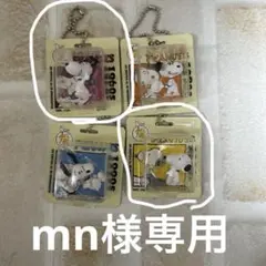 PEANUTS パッケージミニチュア スヌーピー 4個セット