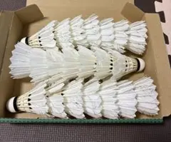 バドミントンシャトル（中古）21球