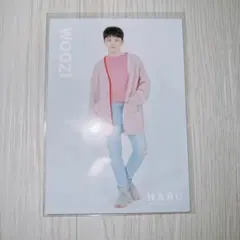 SEVENTEEN セブチ HARU ウジ トレカ